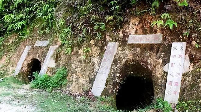 多艰苦？老兵回忆：战友在换防前夕崩溃牺牲AG真人旗舰厅登录战士们在猫耳洞作战有