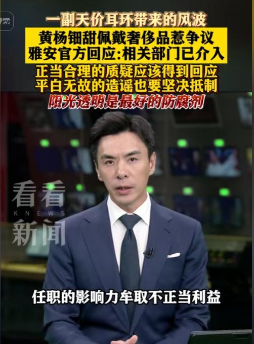 杨父亲被立案调查谎言被戳穿为时已晚AG真人平台央媒点名新华社通报！黄(图8)
