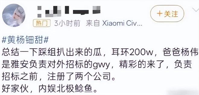 二胎、三代还宗黄杨钿甜事件再添新剧情！ag真人平台第一游戏被疑小官巨贪、超生(图2)