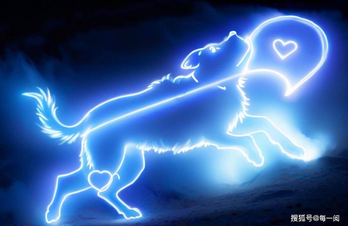 精灵耳饰狮子座很复古天蝎座的超霸气！AG