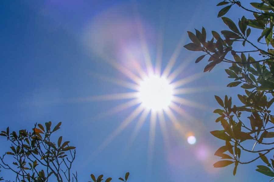 AG真人国际宋茜穿蝴蝶结长裙明媚动人